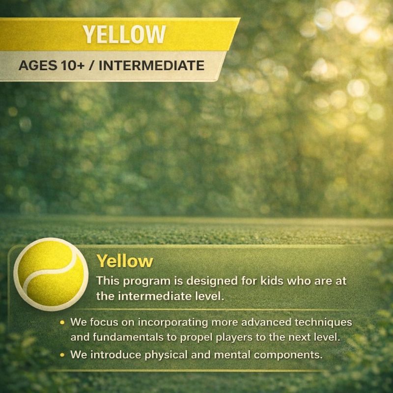 Yellow Ball Program